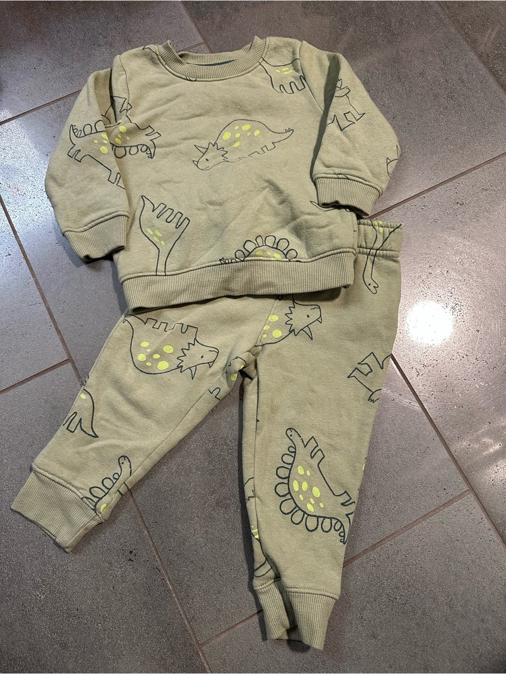 Cat Jack 18m Dinosaur Sweatshirt Jogger Outfit Set